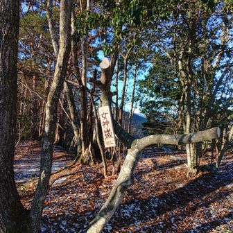 ということで、1stピークの女神岳(927m)登頂👩‍🍼✨

このルート&時期だと山頂直下が滑りやすいのでご注意を⚠️