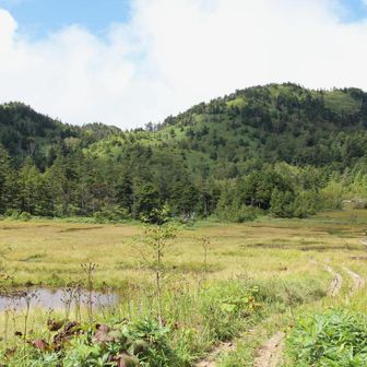 湿原に戻ってきた