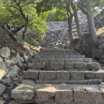 石段を登る
ちょっと高い段差
