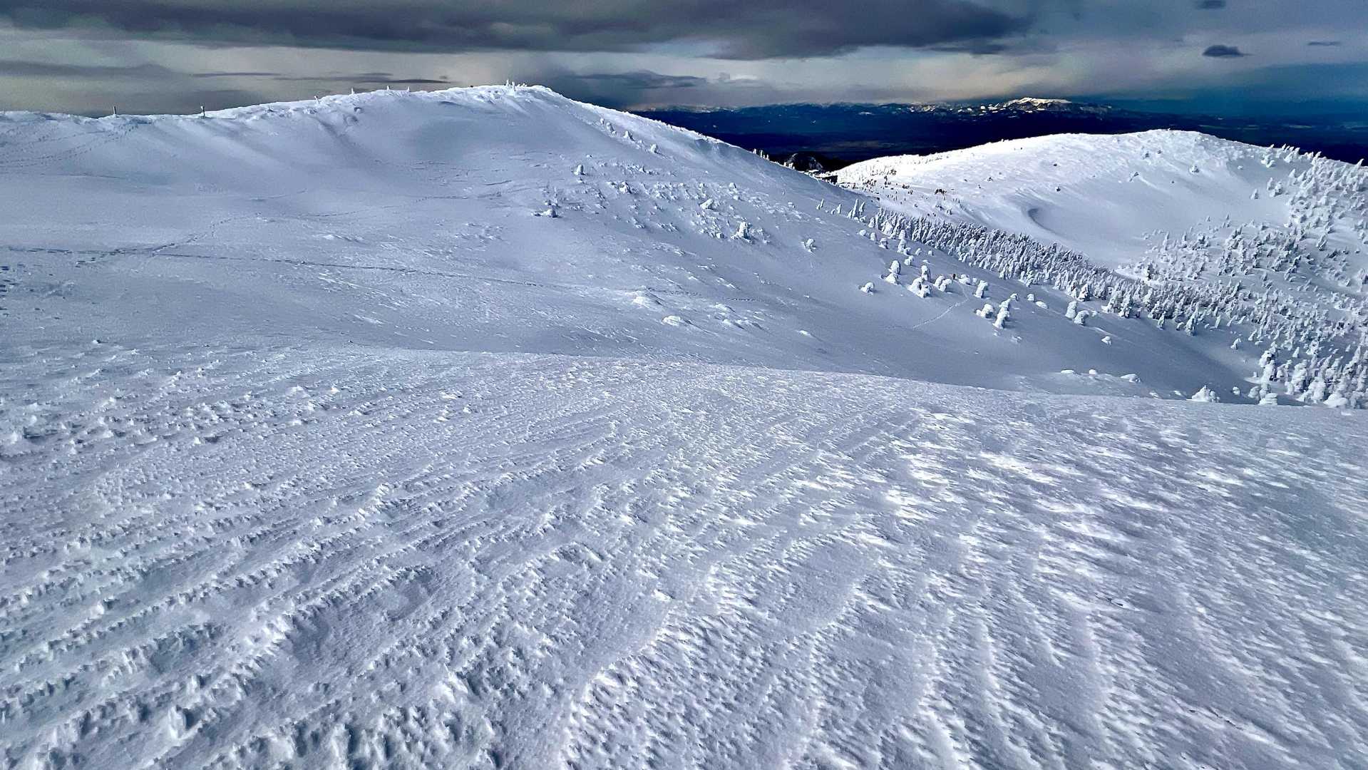 人の踏み入っていないところで雪原をじっくり観察。風の流れが表現されていて面白い。