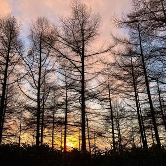 🥹♡*｡

目が離せない。
