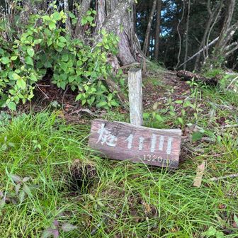 ここが燧石山だった。山頂標識が裏向きに倒れていたので、一応立てかけておいたが、風が吹けばまた倒れてしまいそう。ここで折り返し、棒ノ折山へ向かう。