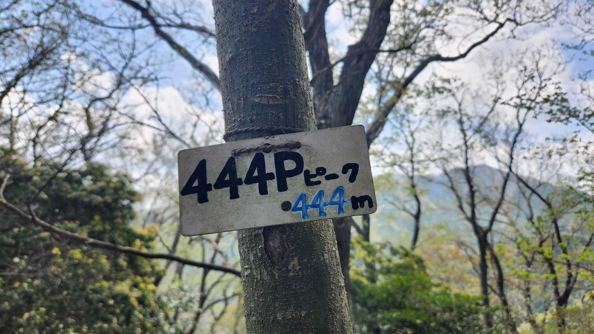ピークらしい(^^ゞ
