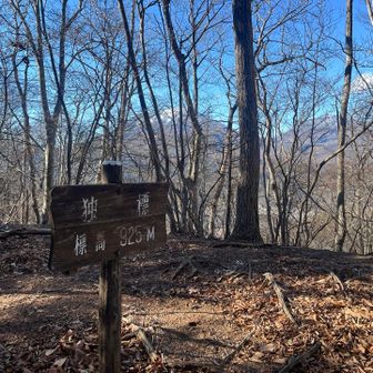 ⛰️なんで読むんだ〜😝