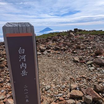 富士山や塩見岳が近づいた気がした