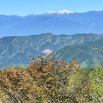 南アルプスの悪沢岳や聖岳💕