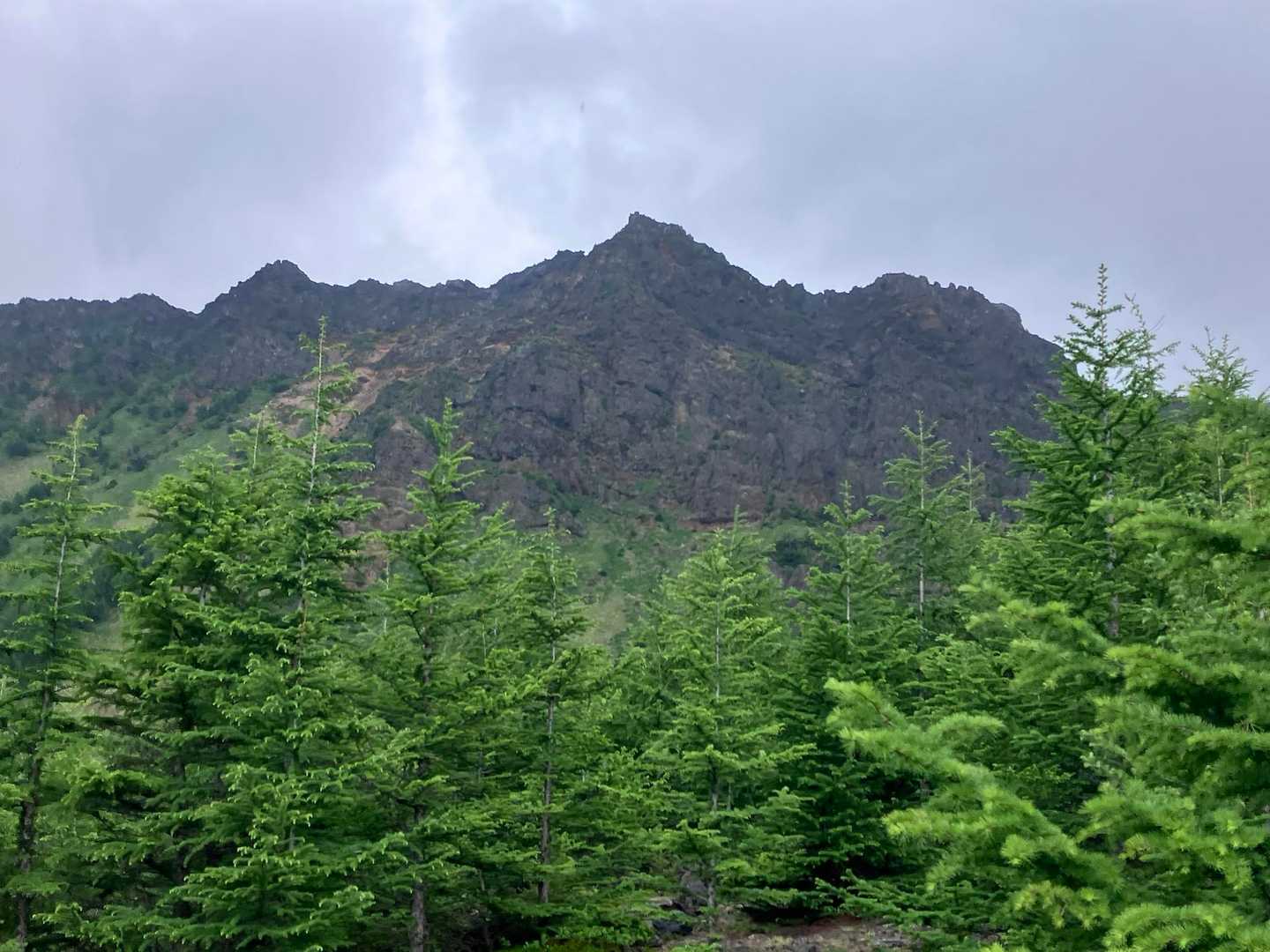 鋸岳までコースタイム30分。
ほんとにそんな時間で着くん⁉️
ってか、あの岩登るんかな😅