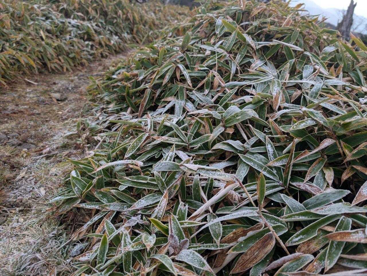 雪はパラつく程度でしたのでレインウェアと軽アイゼンは出番無しで済みました