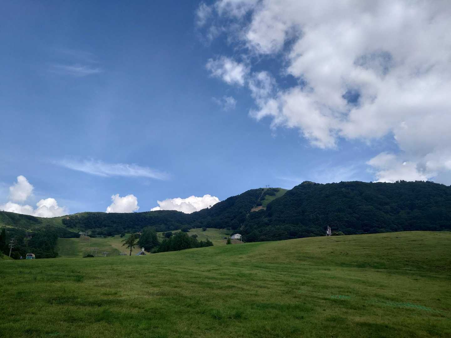 上は涼しくて気持ちよかったです✨️