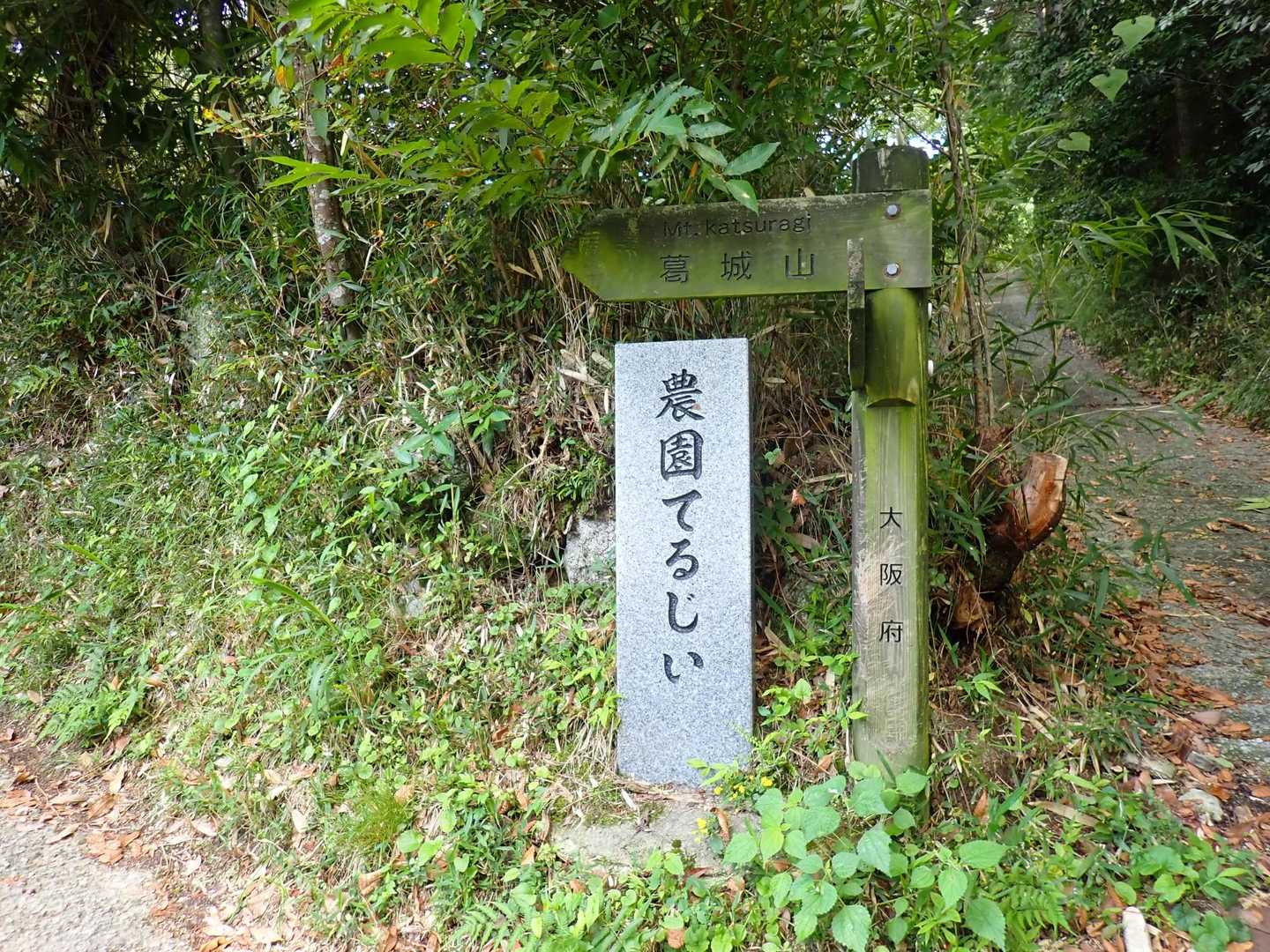 
天狗谷道から登ります🐾