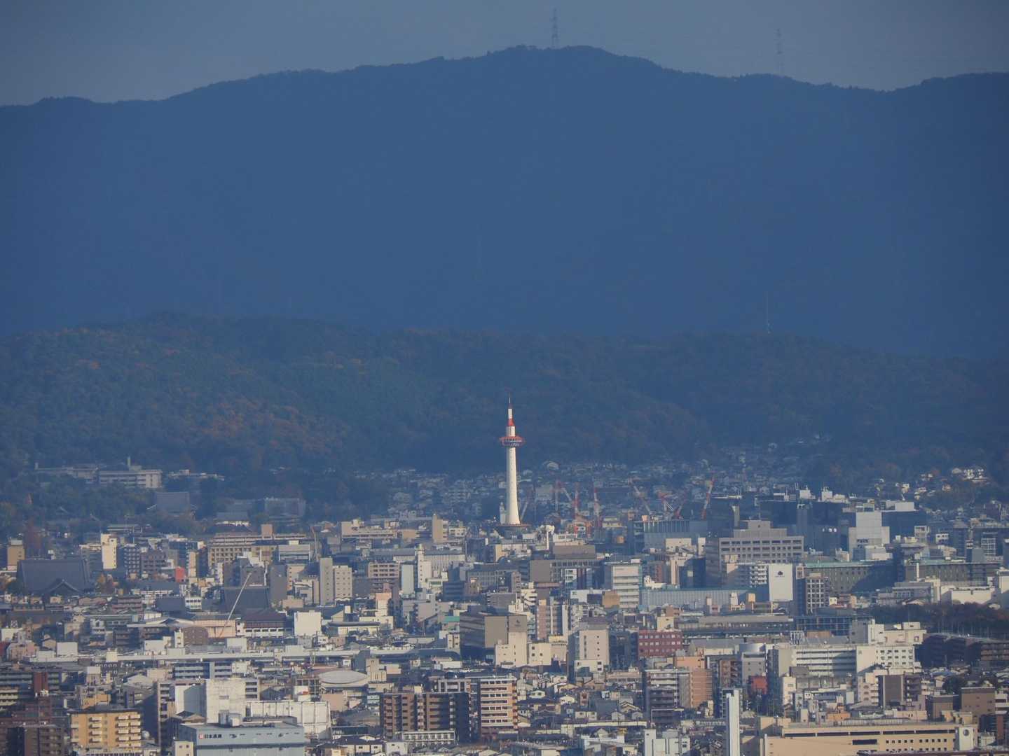 今度は京都タワーが見えました。zoomで
