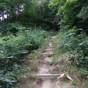 山登りっぽい道