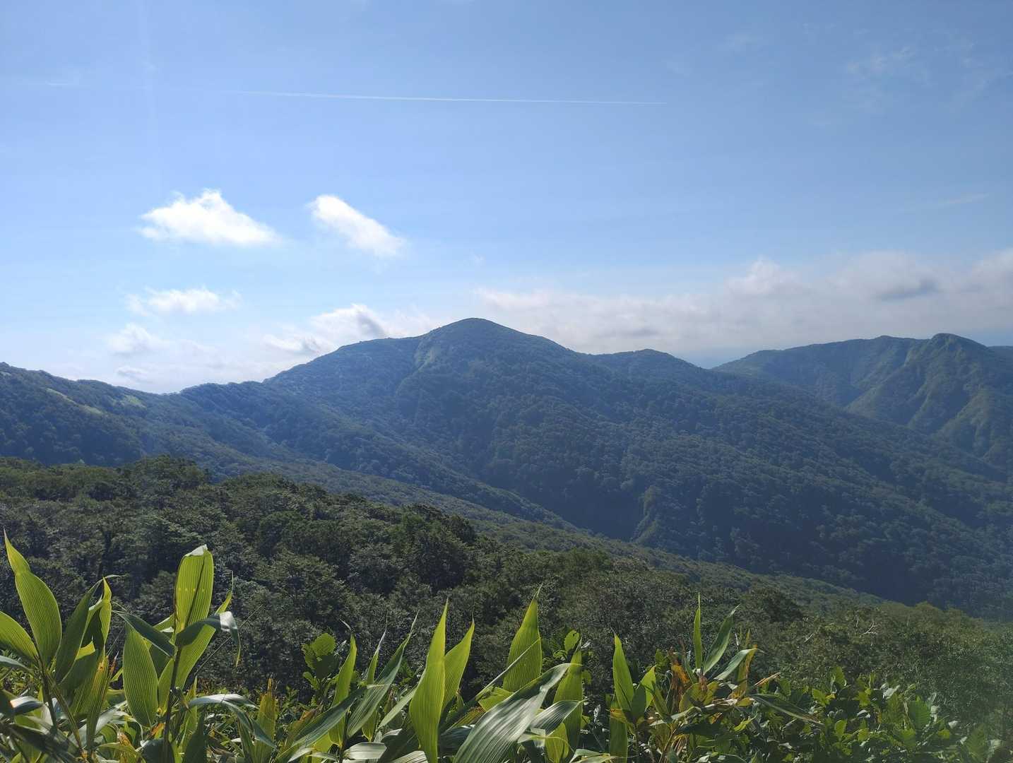 登山道からの眺め！
