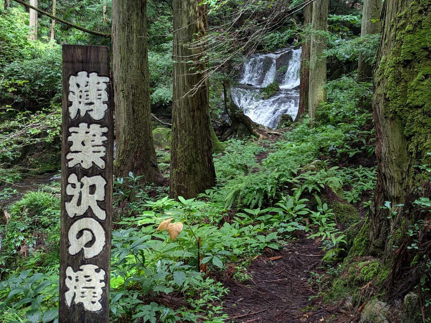 里美富士登山口・薄葉沢の滝入口-おしゃべり地蔵-妙見山 往復コースの写真