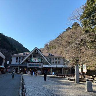 下山。薬王院に寄ろうと思ったのにやめてしまった。また来ます！
