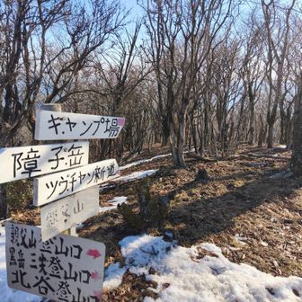 どうしようかと迷ったが…
明日は、玉名の小岱山でトレイルランレース🏁　今日は朝来たルートで下山します😔