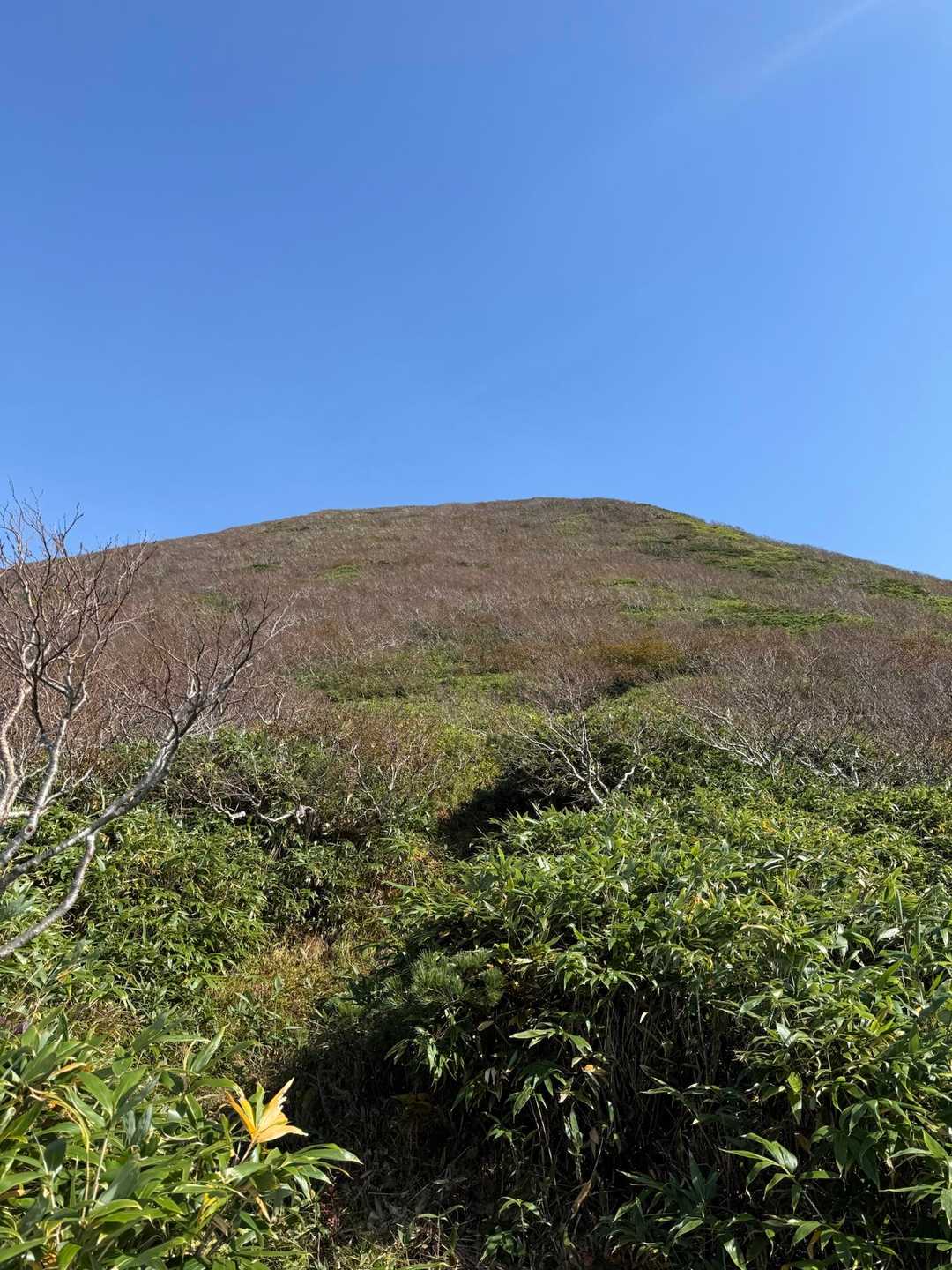 山頂が見えて来ました