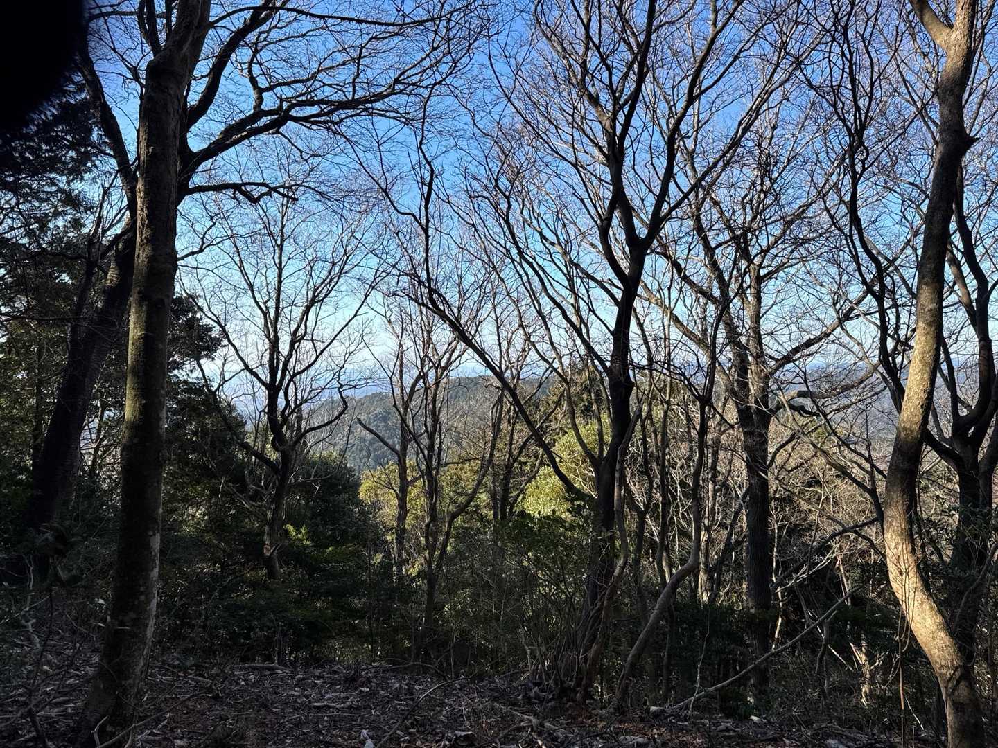 森ヶ峰でも木々の間から景色がみえました。