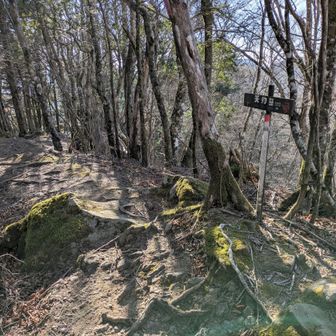 今日はこの辺で勘弁してやるかな👺(白目)