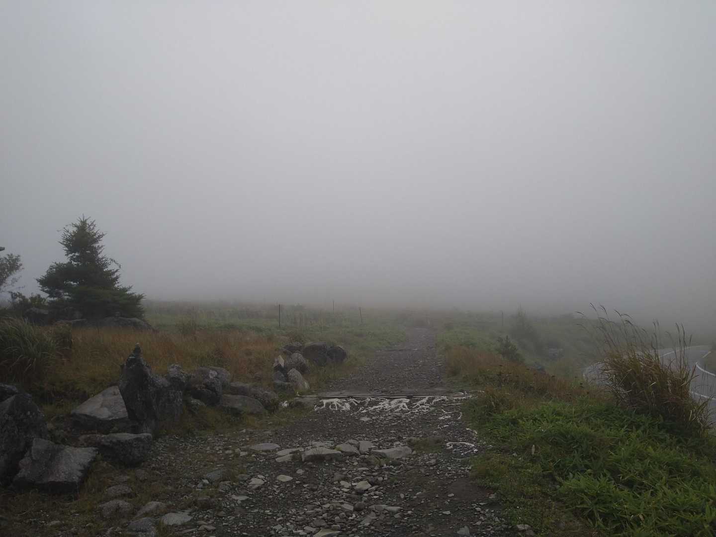 広くて整備された登山道
ハイキングコース？