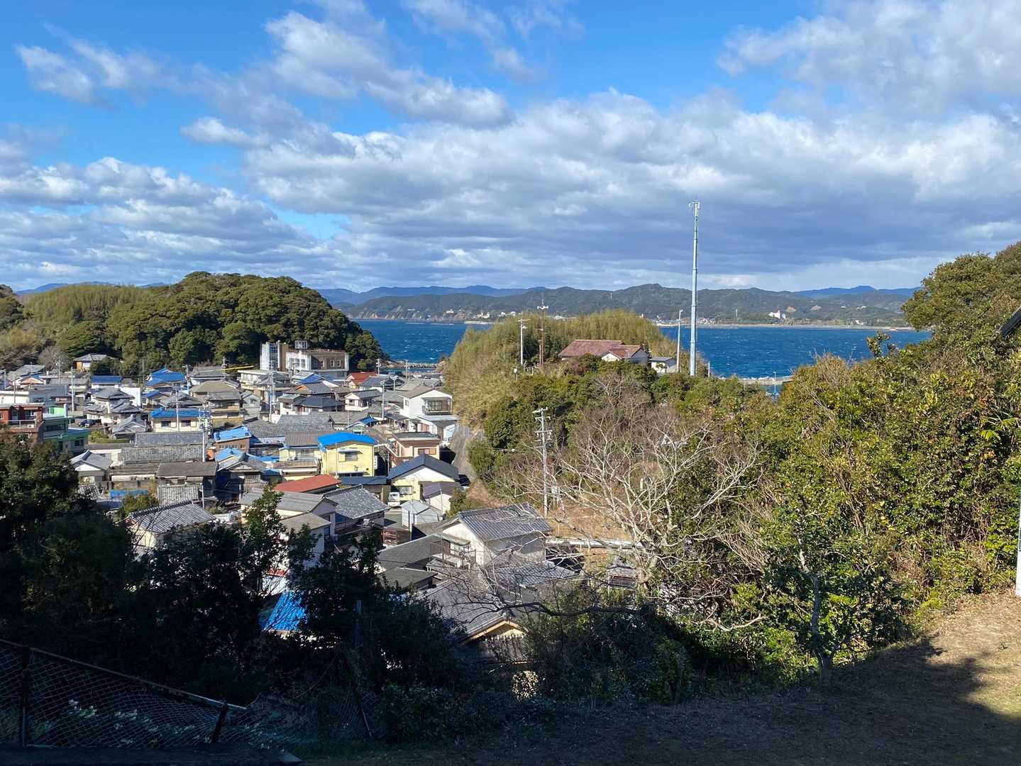 そして金比羅山へお散歩テクテク🚶
