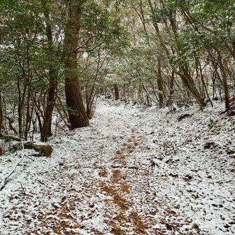 極楽寺を過ぎると雪が多くなる。