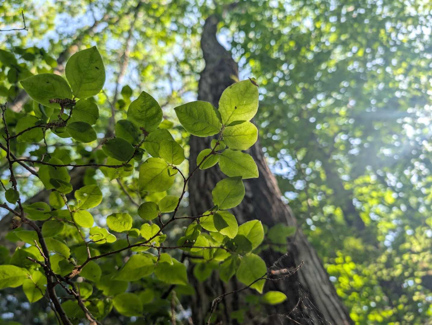 風が少し冷たくて気持ちイイ🌿🌿🌿