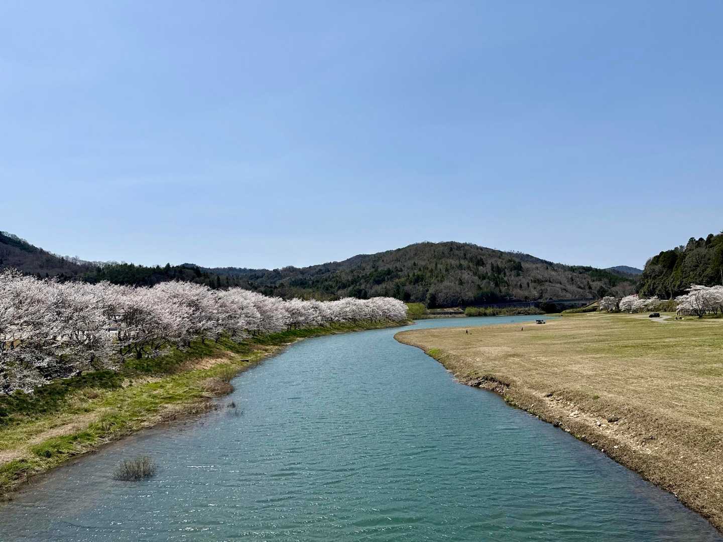 白竜湖スポーツ村公園に🚗を停めて、スタートです。平日ですが、花見🌸をする方で賑わってました。