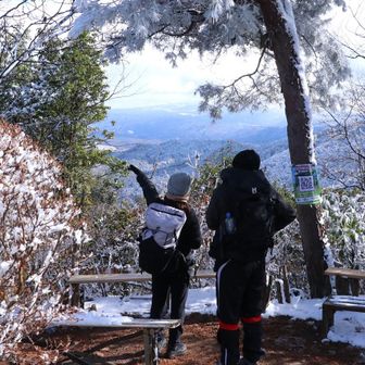 ヤマガラ君と遊ぶ人もいます