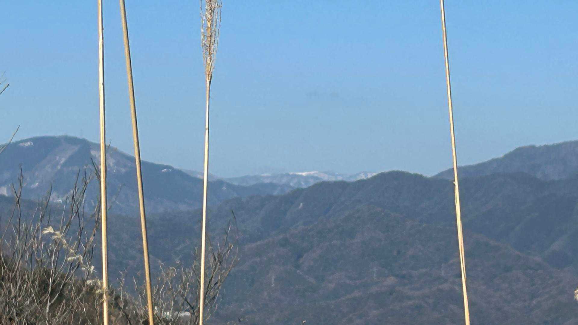 十方山の雪が見えます。