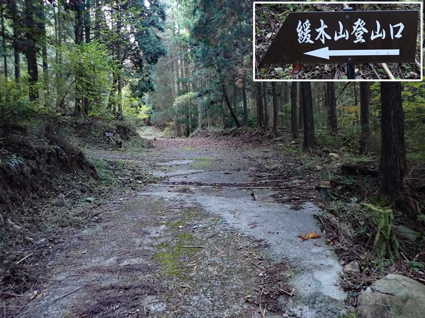 緩木山登山口案内標示まで約１kmコンクリート舗装の作業道を歩きます👣
※案内標示がある分岐付近に１～２台分の駐車スペース有り