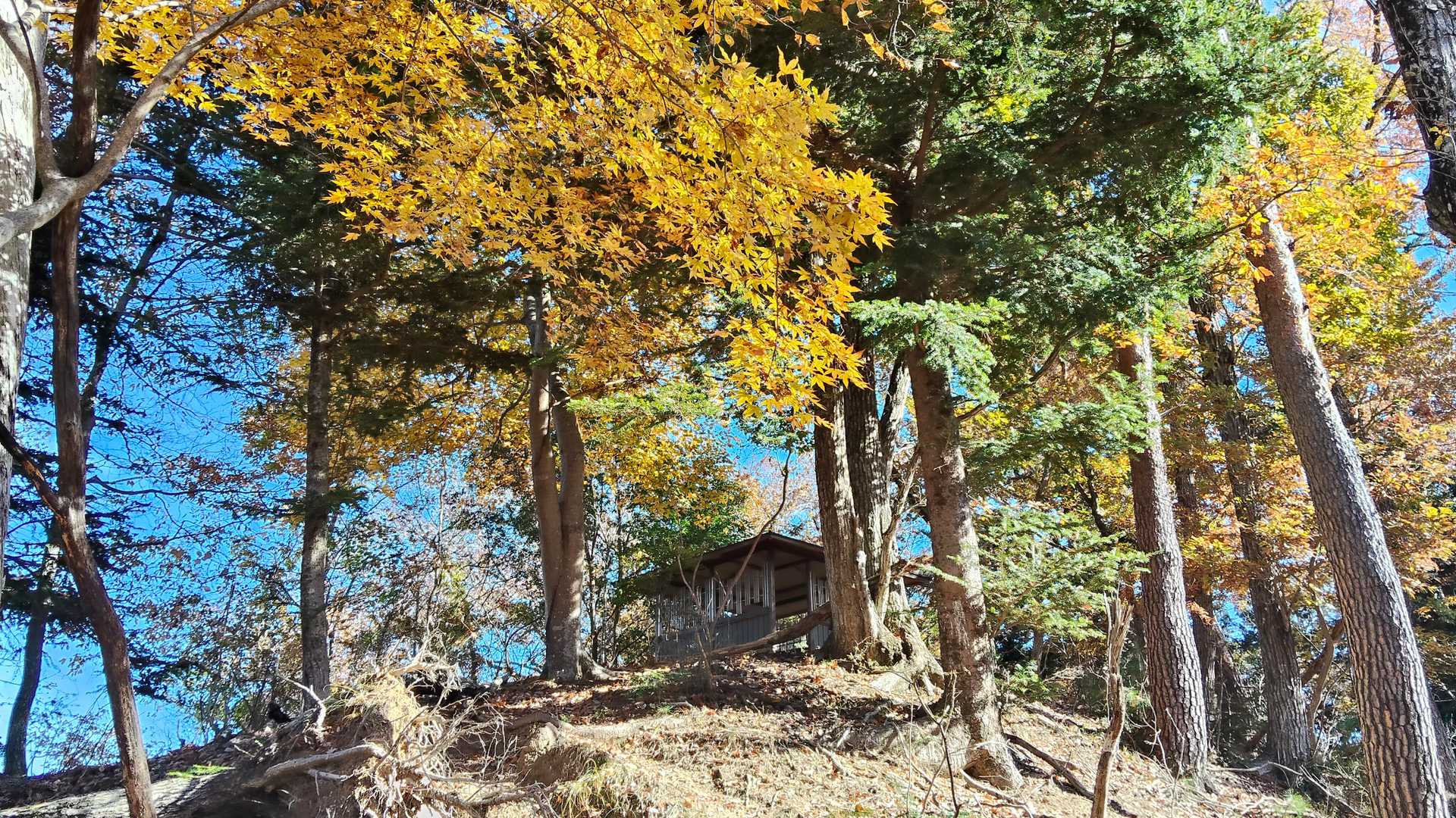 新矢野根峠。東屋があります。