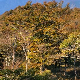 二ツ岳方面