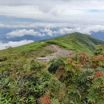 帰りに通る梶川尾根の方面