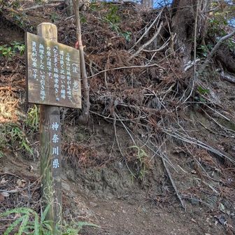 登り始めて1時間ほどのところに立てられていた看板。この手の警告が何度も出てくる