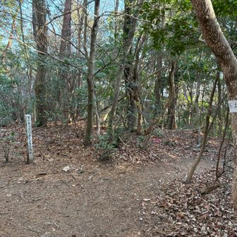 赤坂山の山頂。一旦通り過ぎてしまい、戻りました。