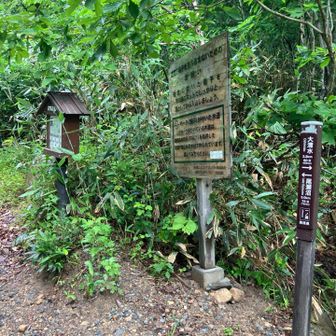 一ノ瀬休憩所の先、三平橋を渡った所から山道開始。
