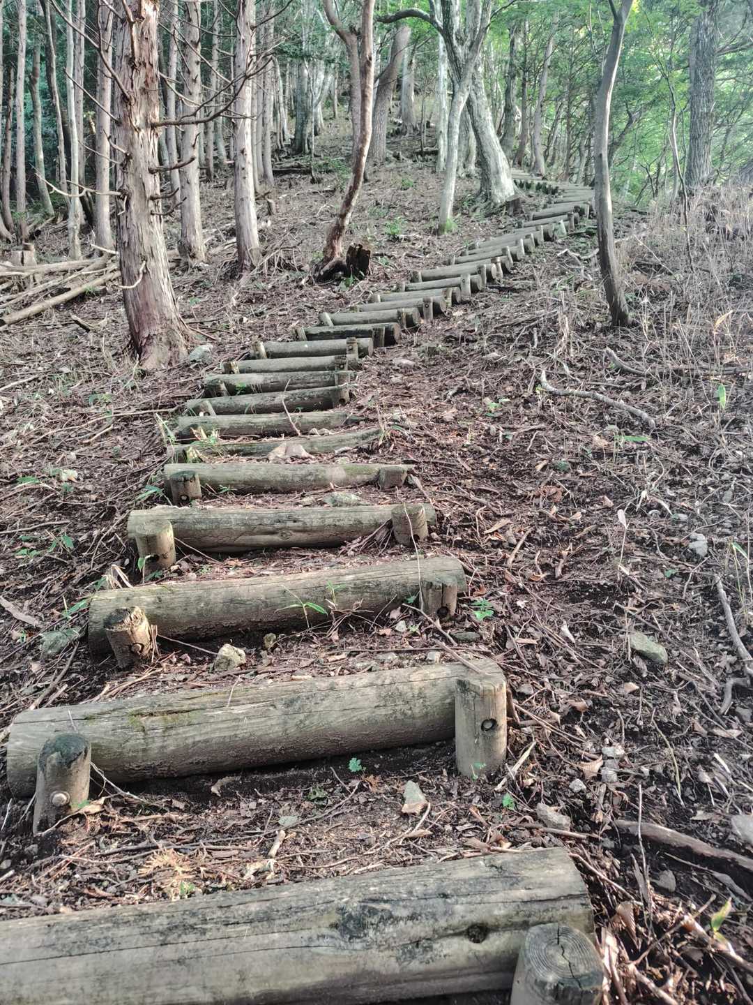 延々と…断続的に山頂まで。
高低差は400mある💪😅💨