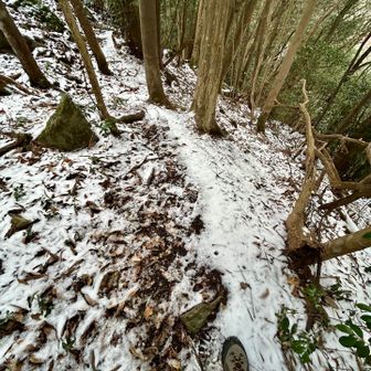 滑らないように…