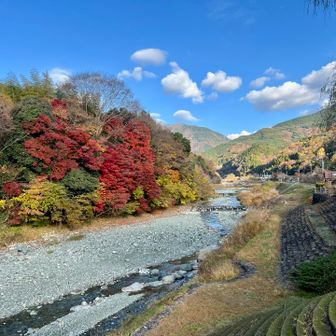 寄バス停付近。