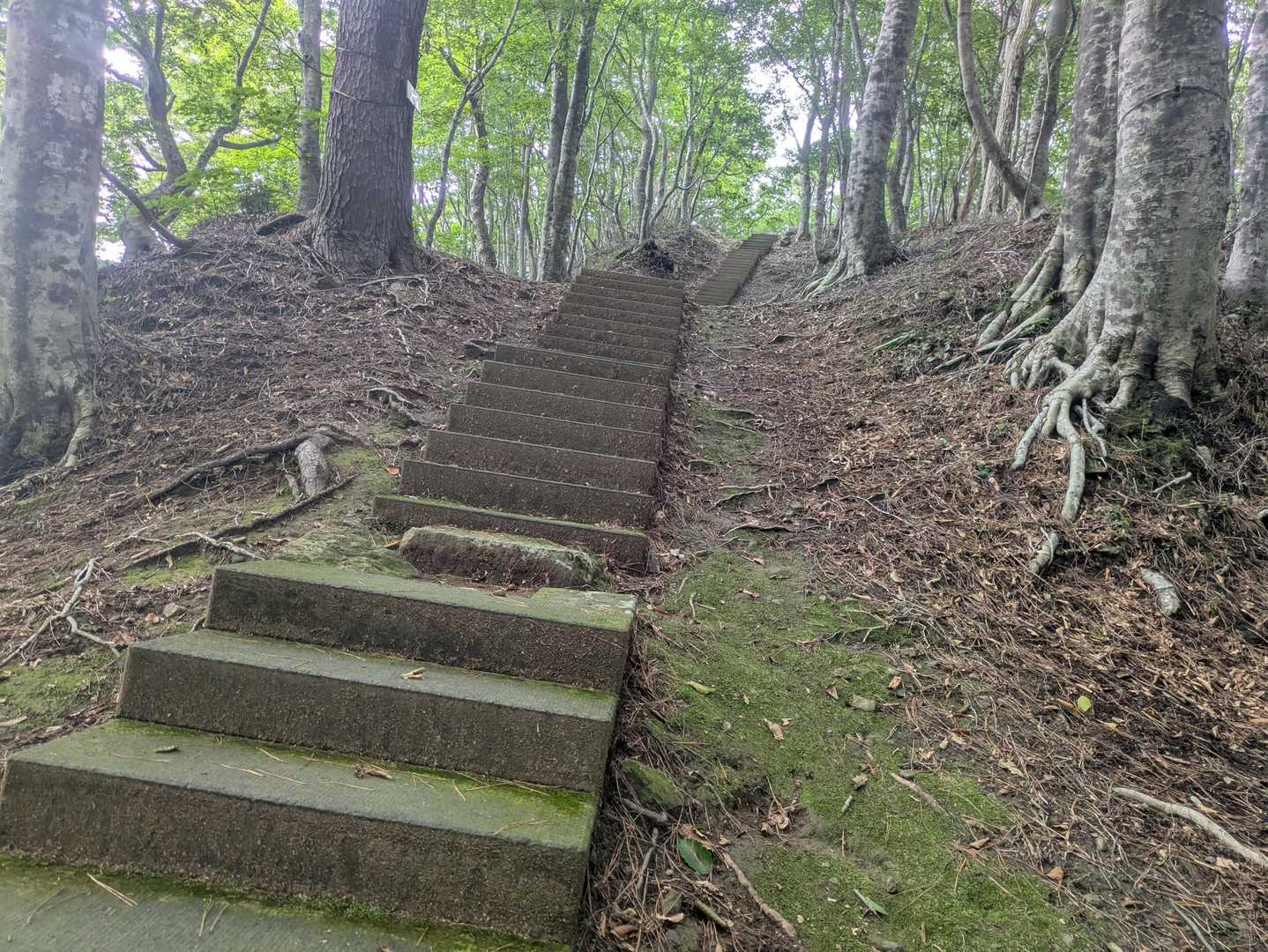 花立峠-越知山 往復コースの写真