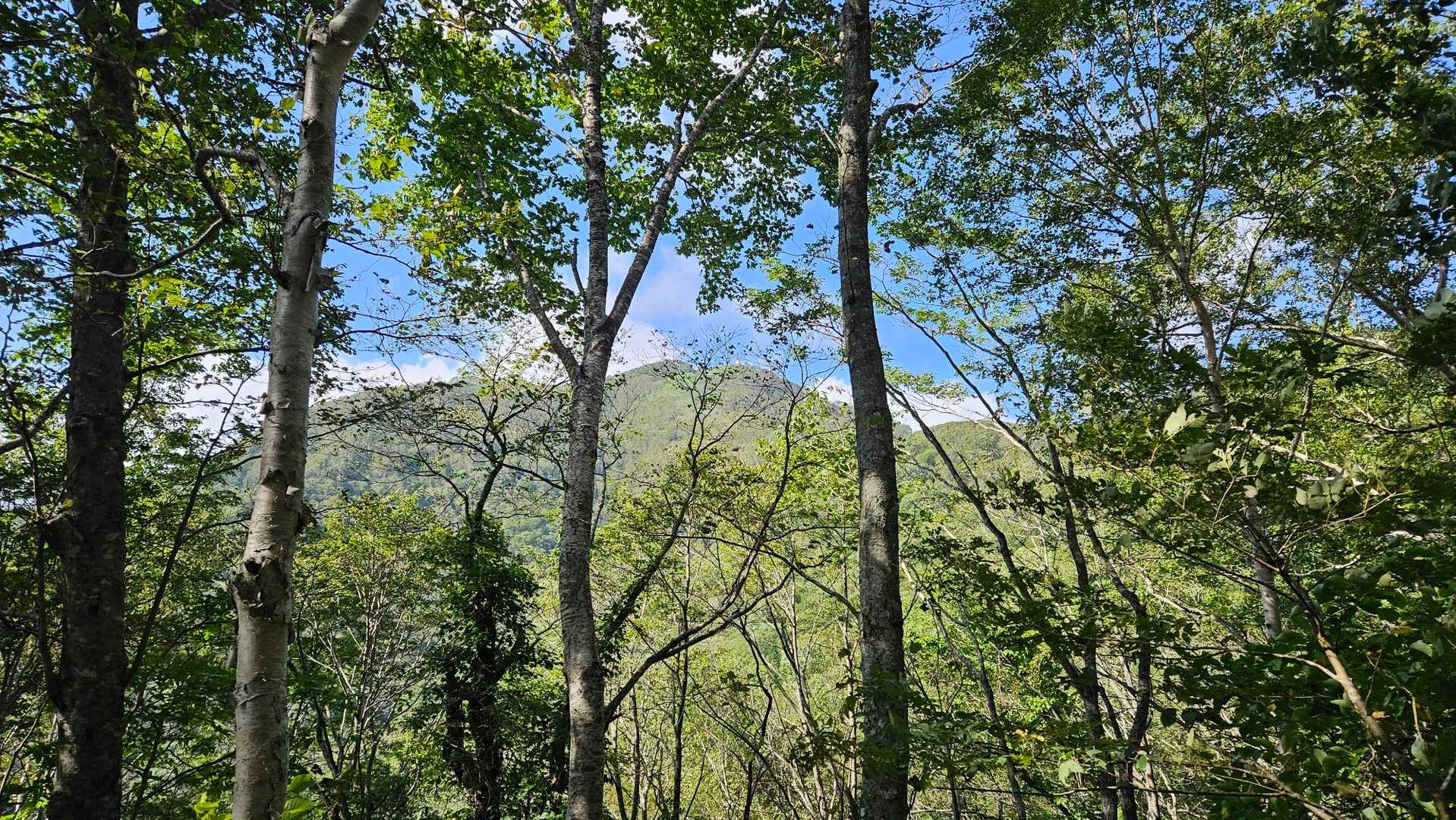 紋別岳登ってるよ