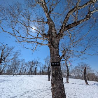 望羊台という地点だが羊蹄山は樹林に遮られてイマイチ
