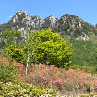 みずがき山自然公園に戻りました😓