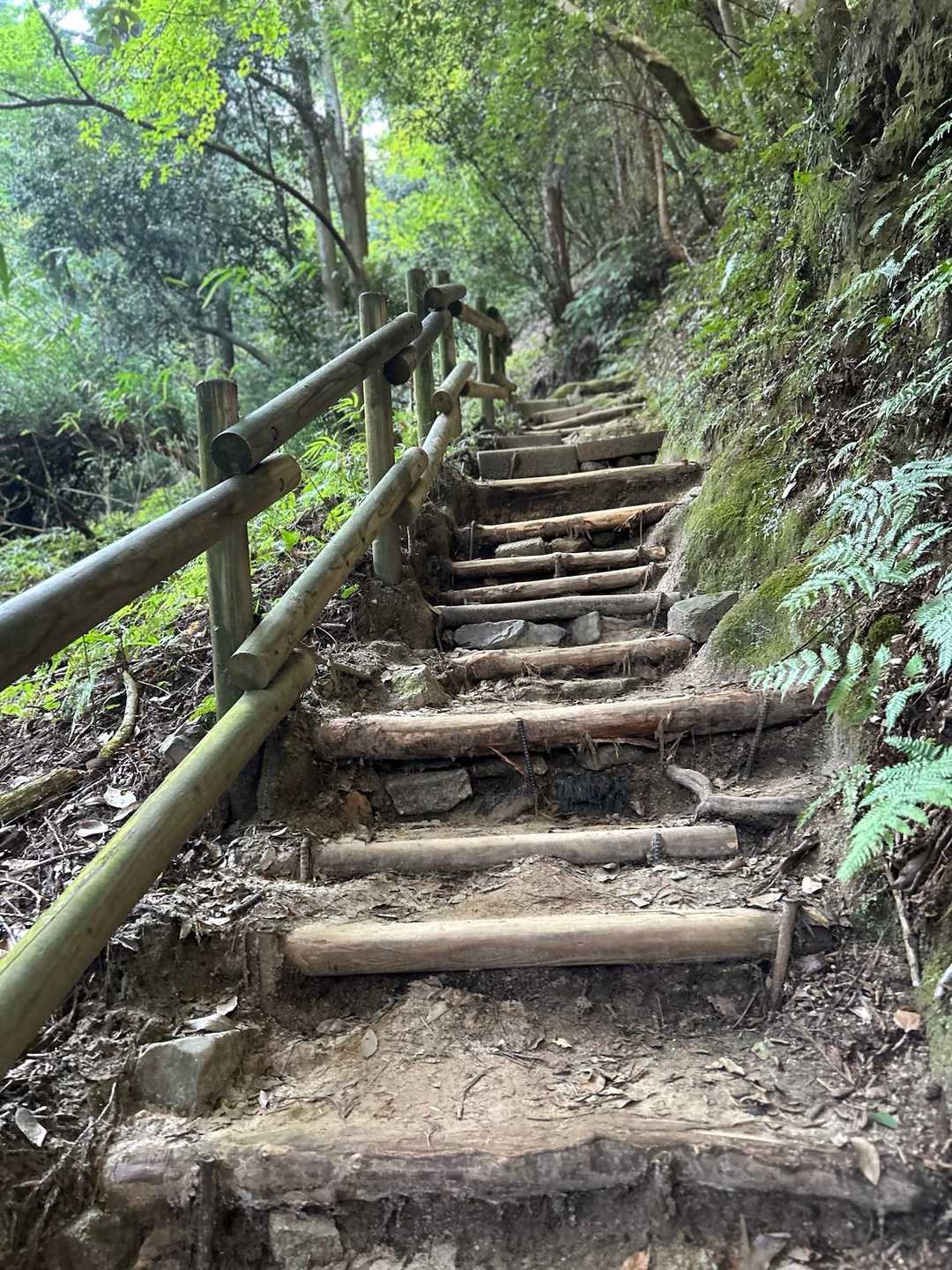 八神社登山口-善気山-法然院登山口 縦走コースの写真