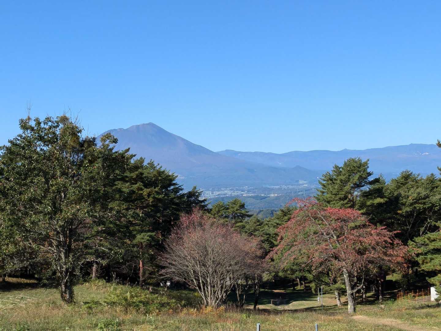 いってきます