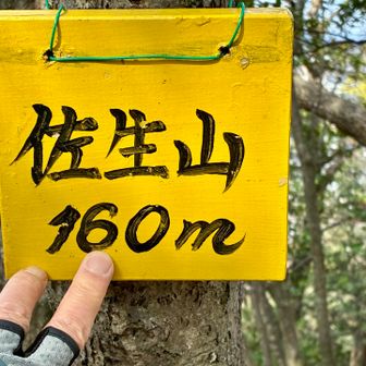 タッチ❗️

確かに登りましたぞ、佐生山❗️（２回目ですが）
今日は、このピークもゲットできた筈