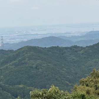 三河の港の眺望👀
生憎の曇り空ですが…かといってカンカン照りだと低山縦走は大変だろうと思いました。今日は薄曇りで風もあったので助かりました。