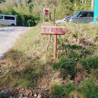 帰って来ました本日会ったのは10人、危険箇所も無く地元の方が登山道もよく整備されていて歩き易くてよい絶景が楽しめる割にはすこし少ないかな