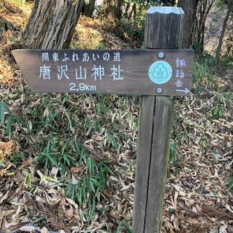 唐沢山神社の方へ